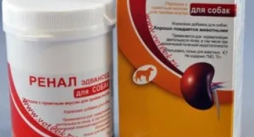 Как и от какво да дадем на котките „бъбречна еду“